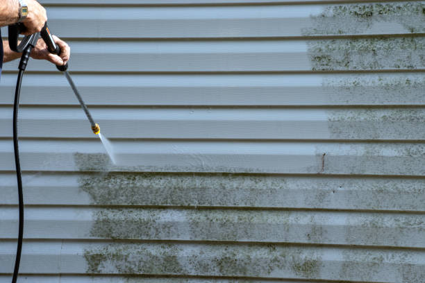 Best Aluminum Siding Installation  in Tallapoosa, GA